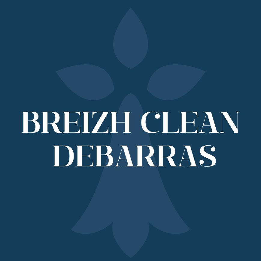 CleanPro Logo